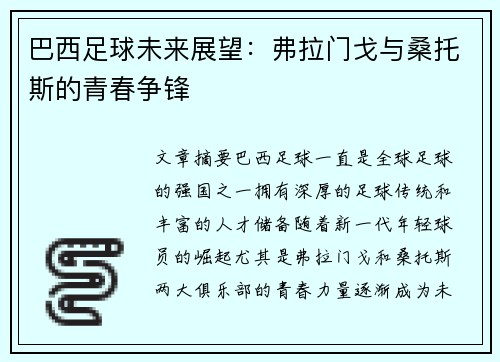 巴西足球未来展望：弗拉门戈与桑托斯的青春争锋