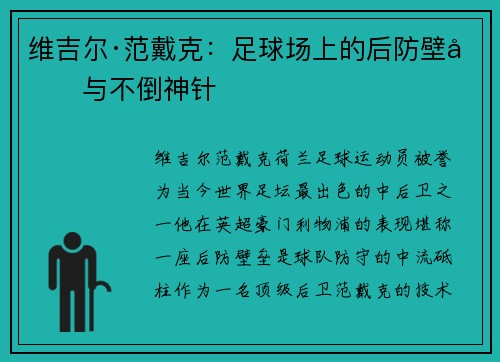 维吉尔·范戴克：足球场上的后防壁垒与不倒神针